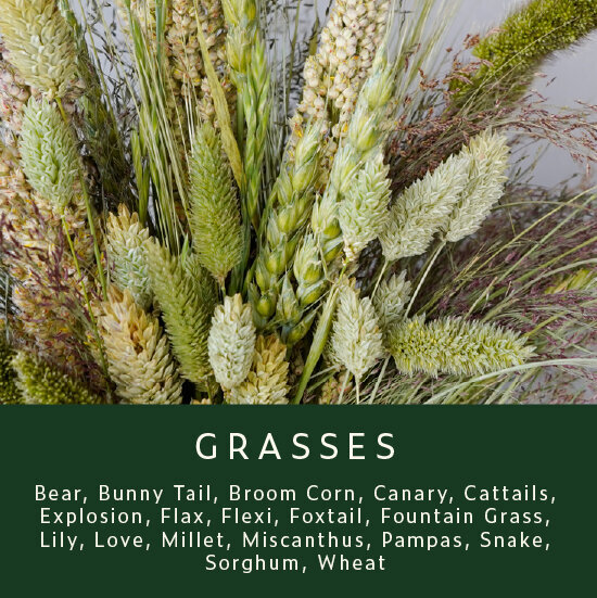 Greenery-Grasses