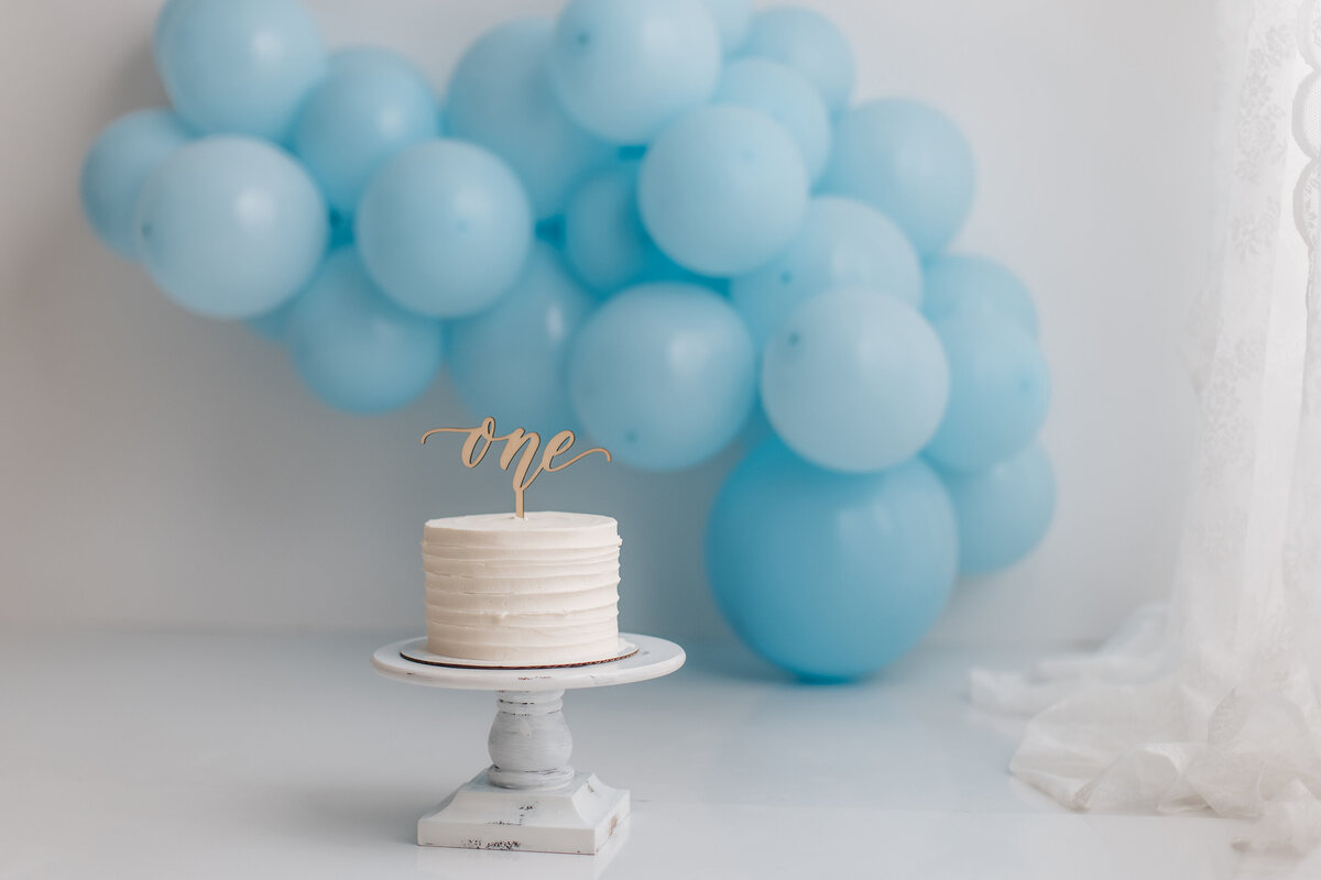 Huntsville AL Cake Smash Photographer