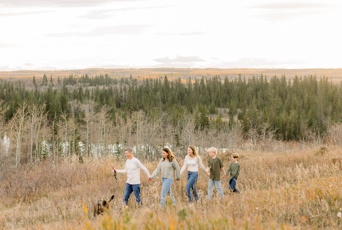 Family of five holding hands and walking through a grassy park in Calgary, Ab.