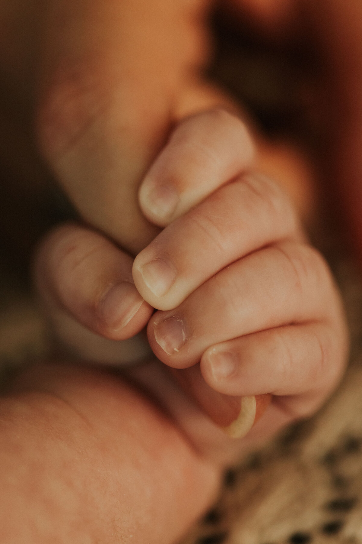 MiekeBroer_Newborn15