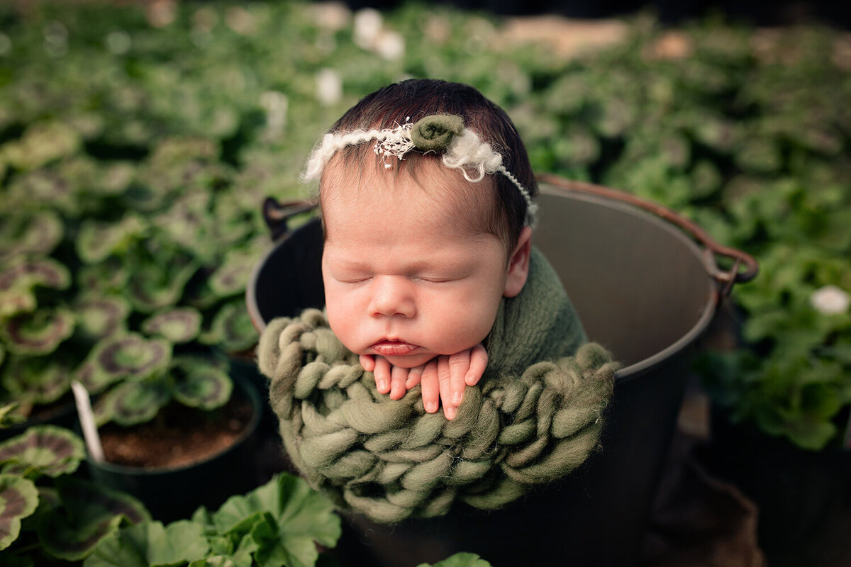 newborn sleeping in bucket in garden photoshoot