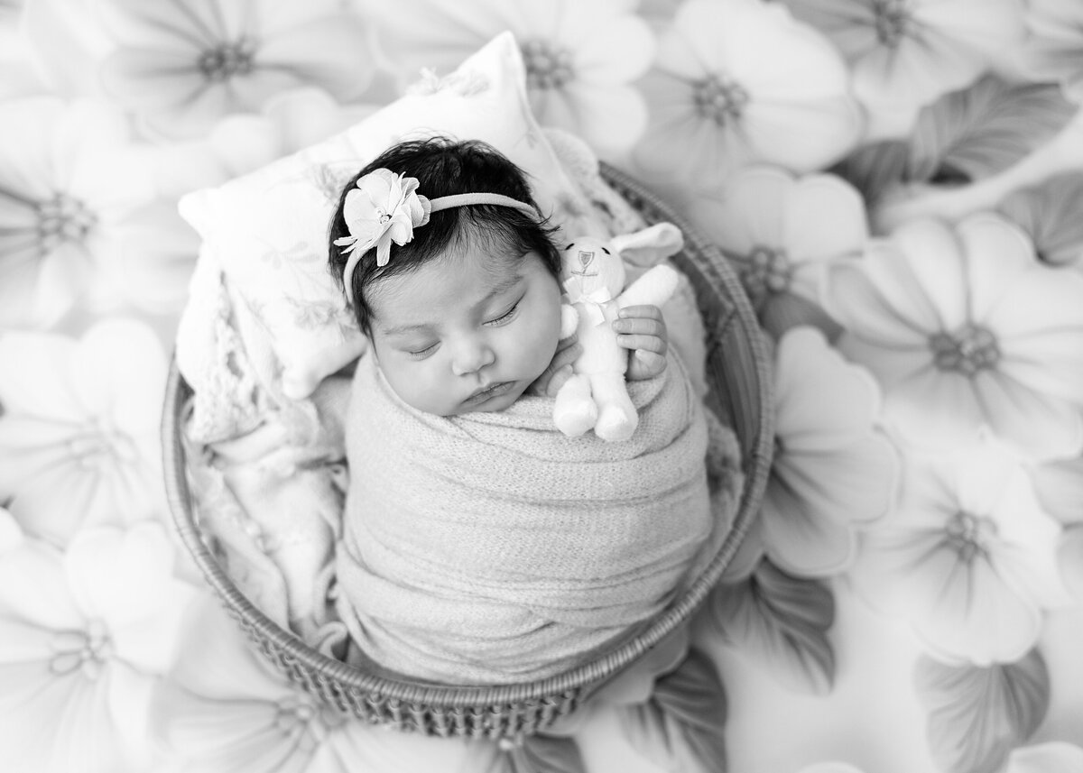 DELATORREPHOTOGRAPHY 33