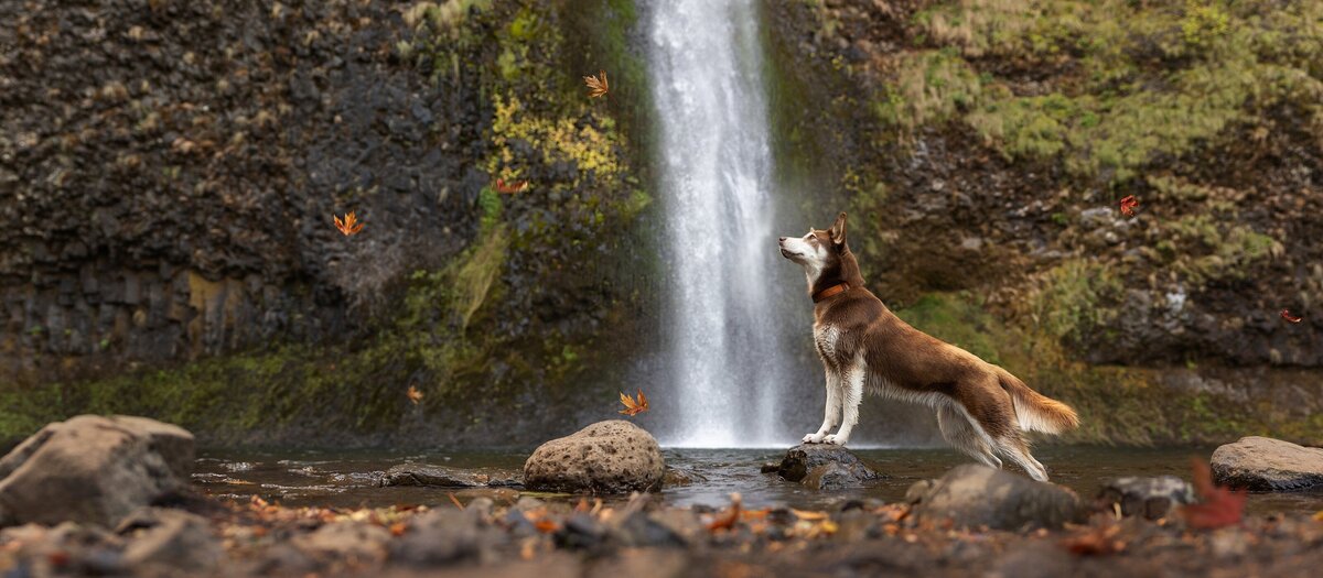 _W3A0217-Edit_Pano v1.1