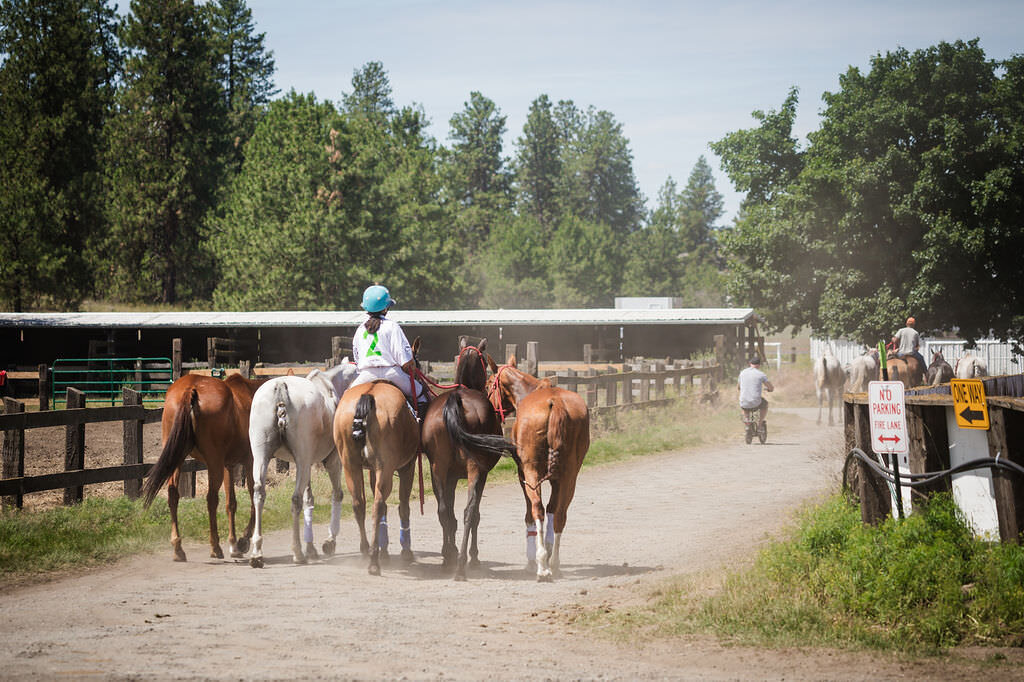 20240629_kya-photography-equestrian-photographer-bend-oregon_0009
