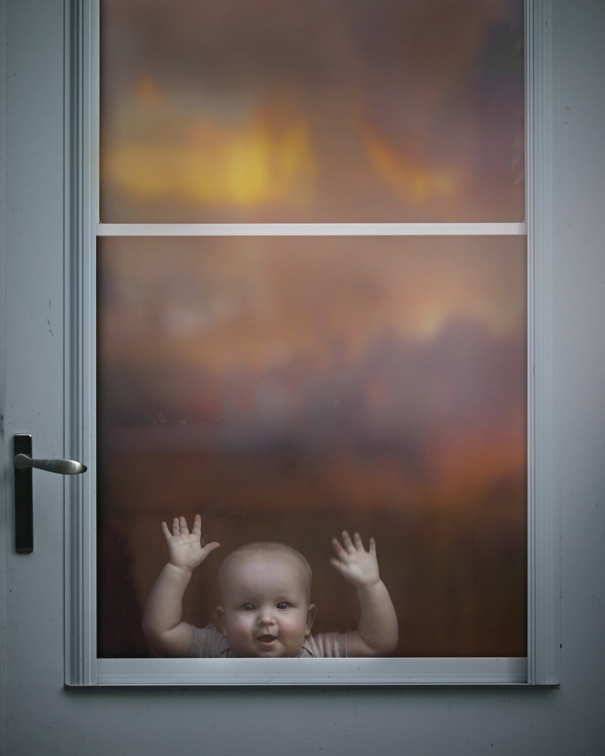 Milo in Door Window 2022 copy
