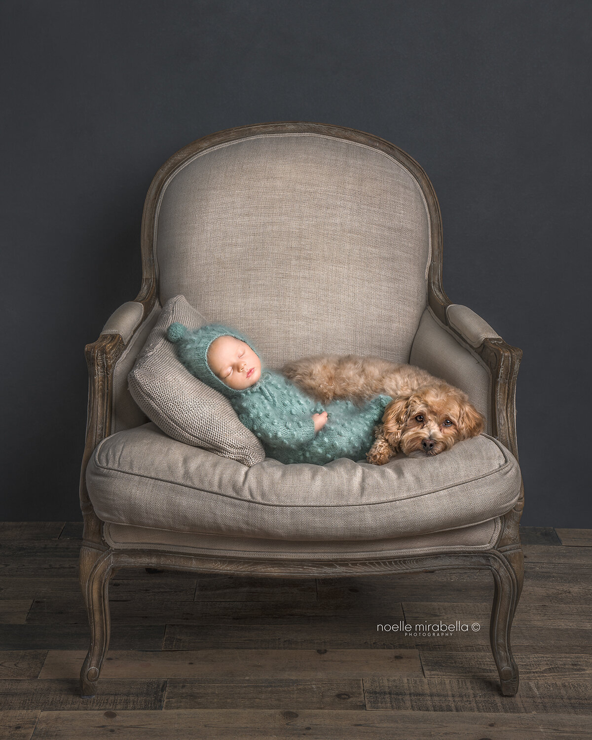 Newborn baby sleeping with dog in a vintage style chair.