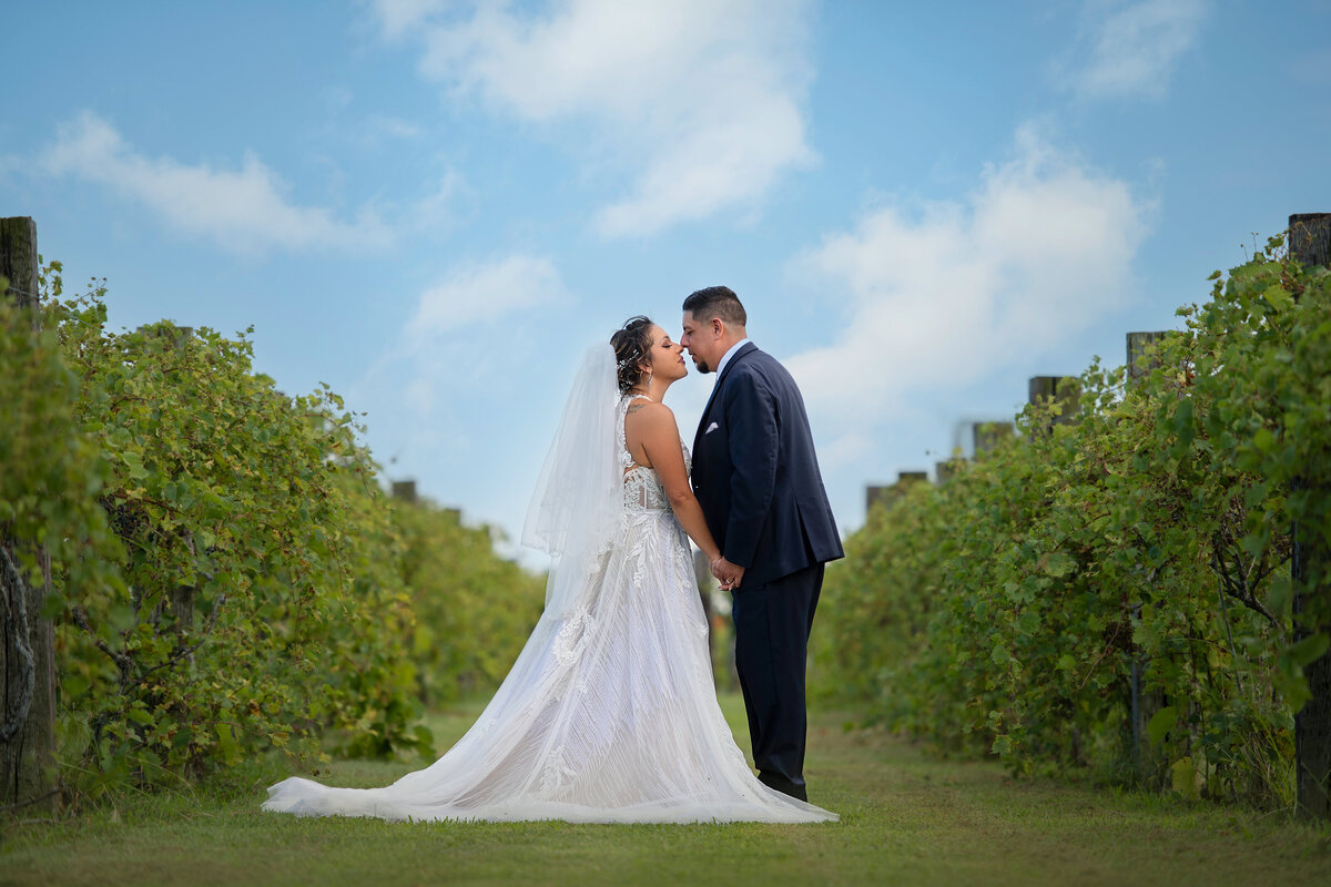 bride and groom kissing  in the middle of vineyard of grapes in  Beecher Illinois The barn and Vineyard venue