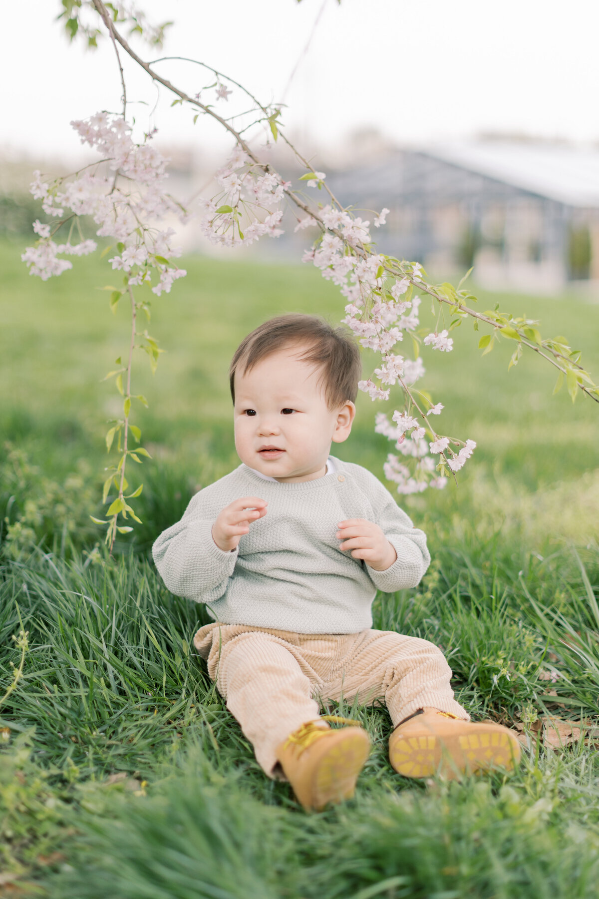 Philadelphia family portraits - 6