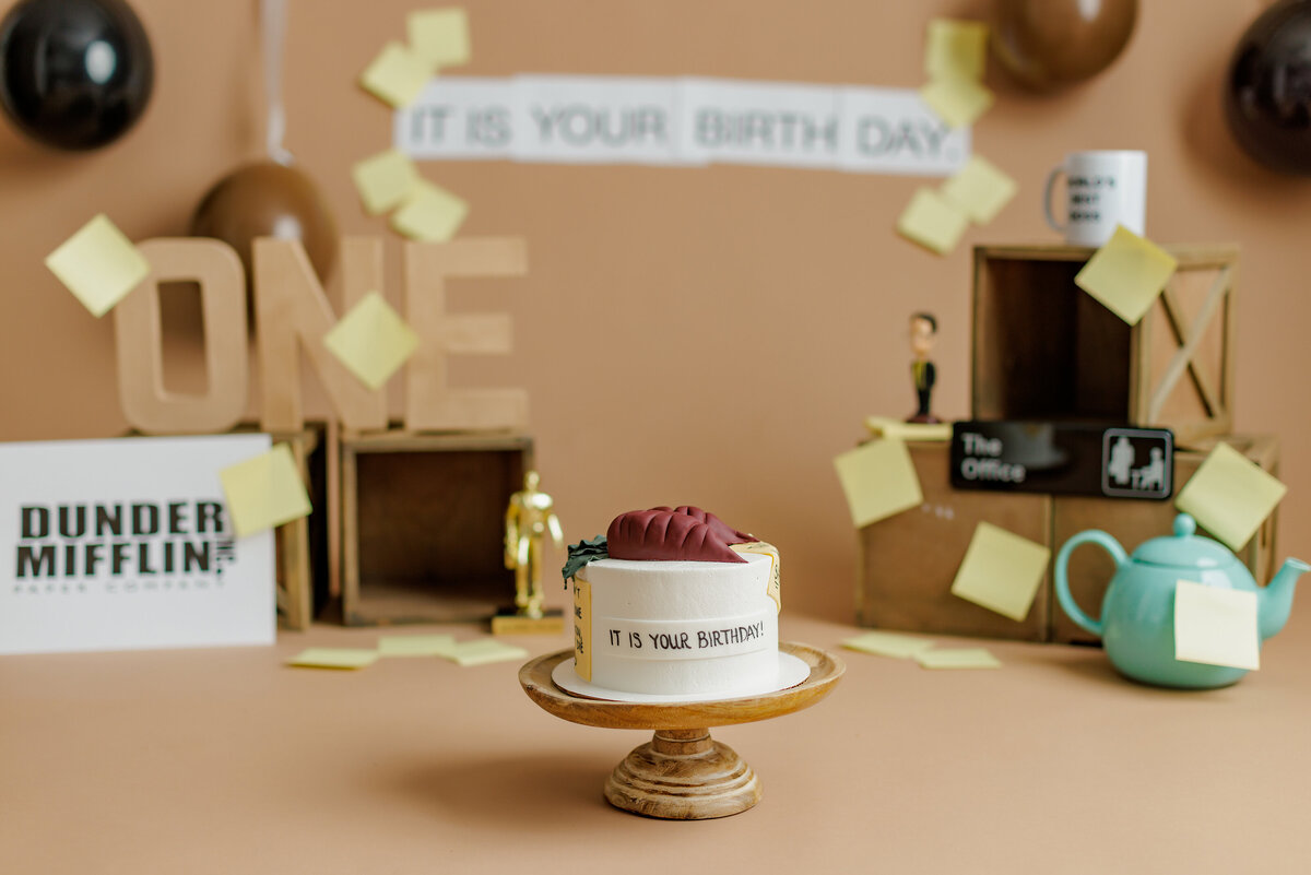Huntsville AL Cake Smash Photographer