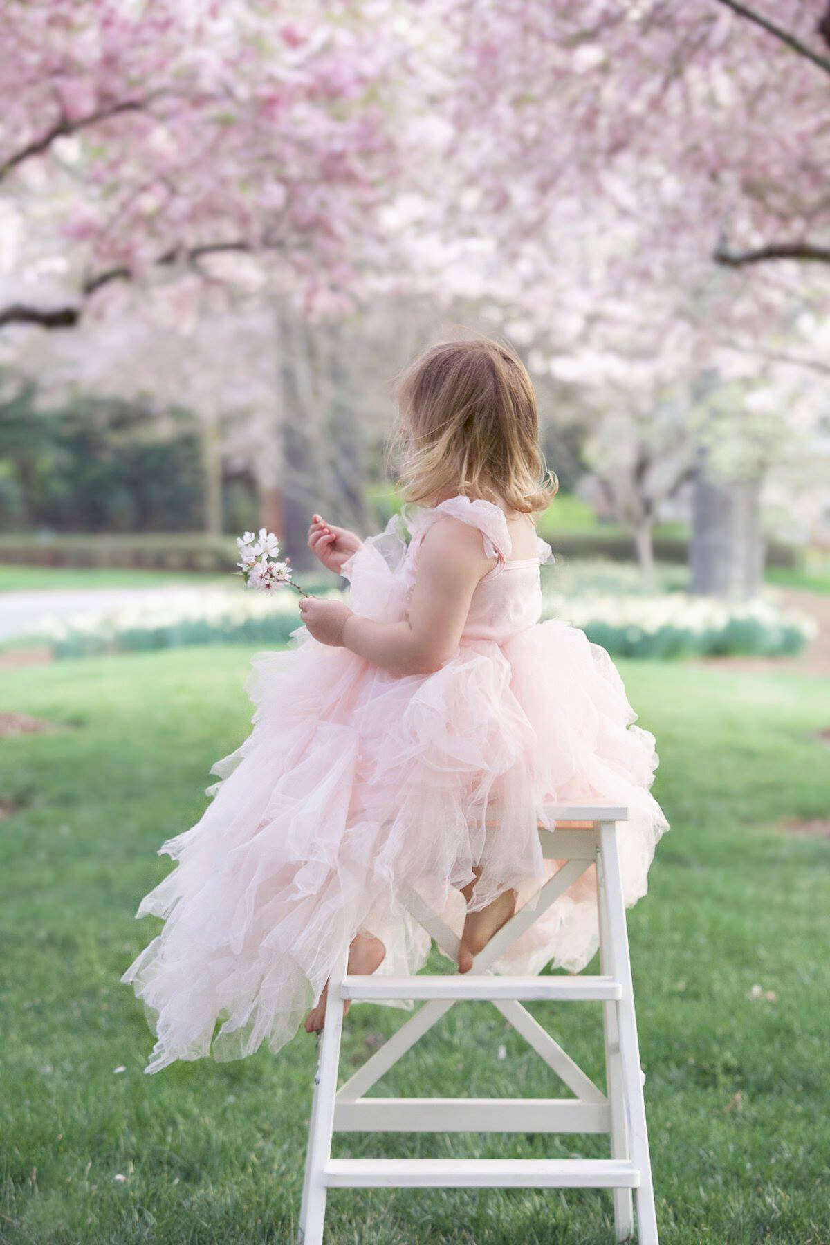 56830127_1161943164007730_6317438262923231232_n copy