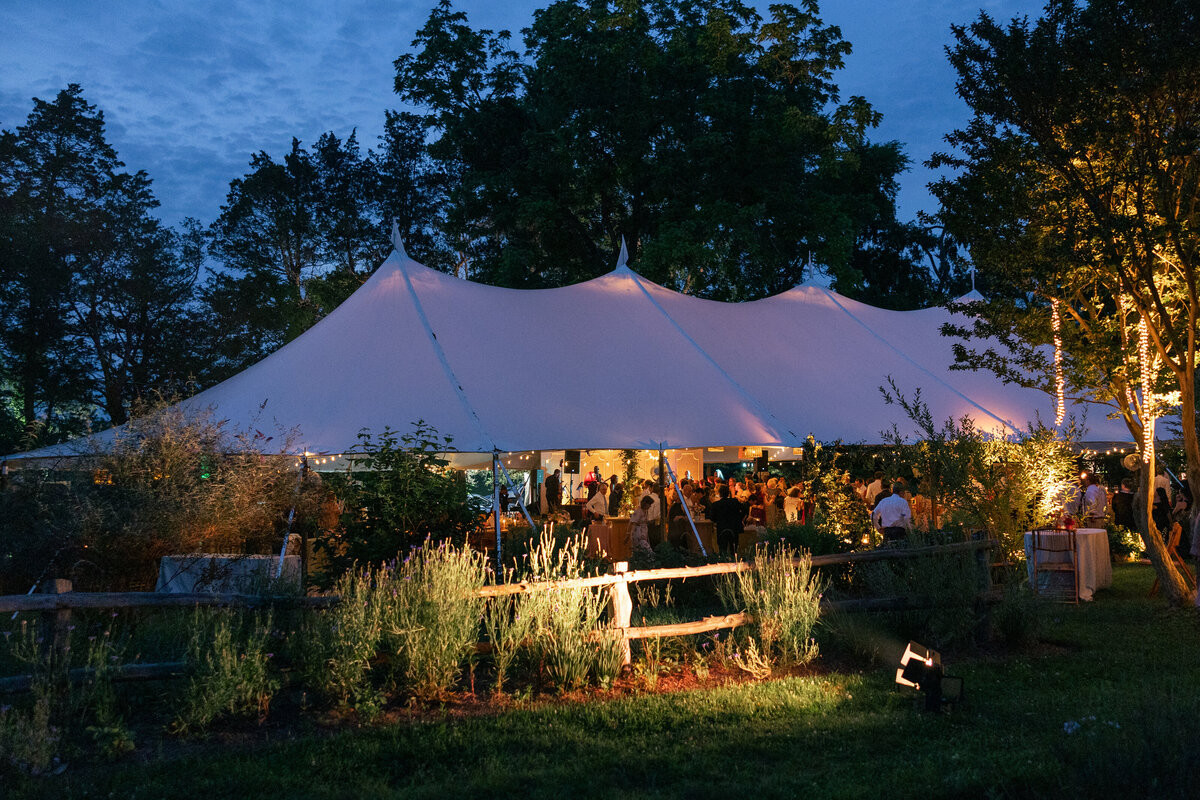 Historic-Tuckahoe-Richnond-Wedding-Planner-86