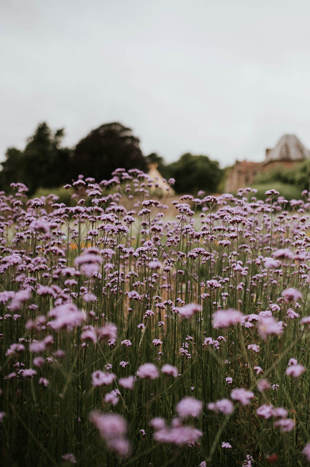 Issy-and-Bella-Floral-Design-Wedding-Florist-Herefordshire-Broadfield-Court-j&N8