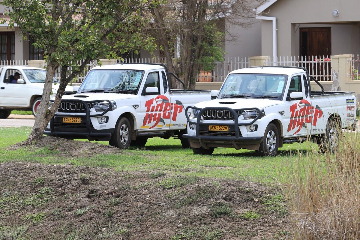 TOAZ Golf 2024-3578