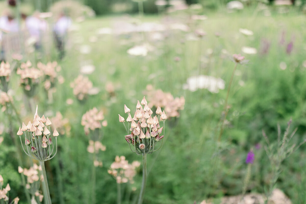 cotswoldswedding03