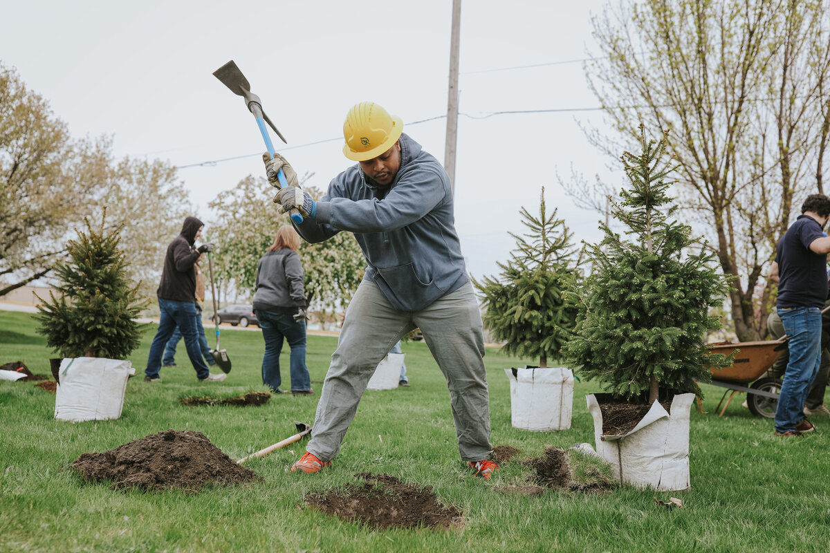 The SCA Tree Planting smaller files (110)