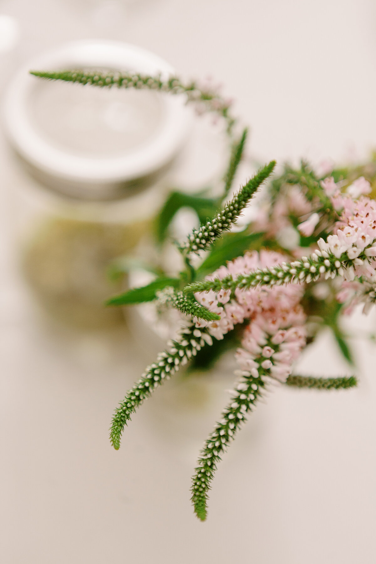 katiejohn_website_0105