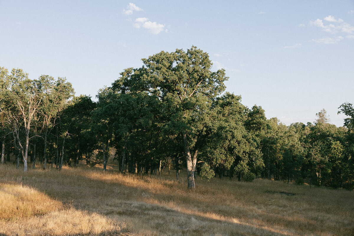 Destination-Elopement-Photography-4