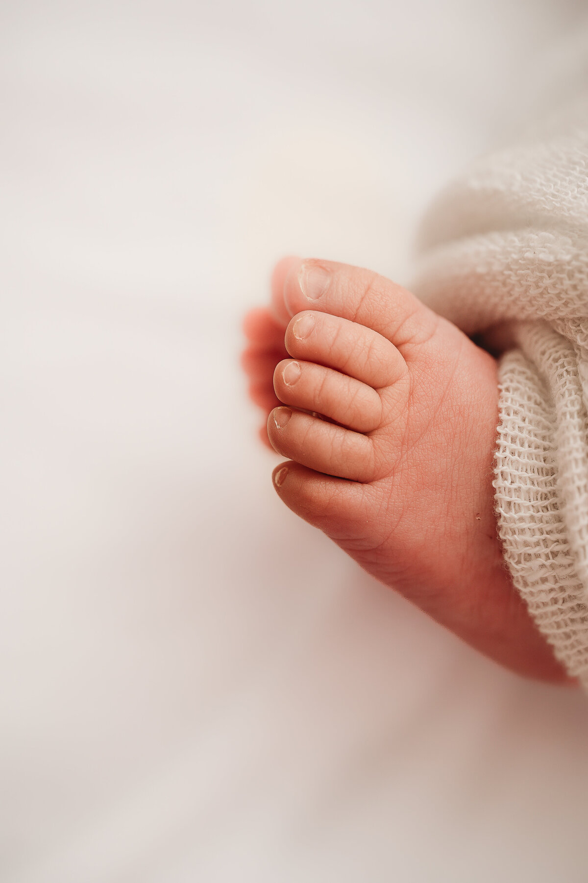 bismarck-studio-newborn-thiegles-7667