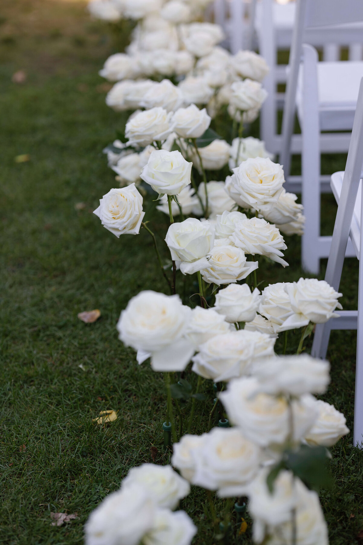TriciaBaileyPhotography-810