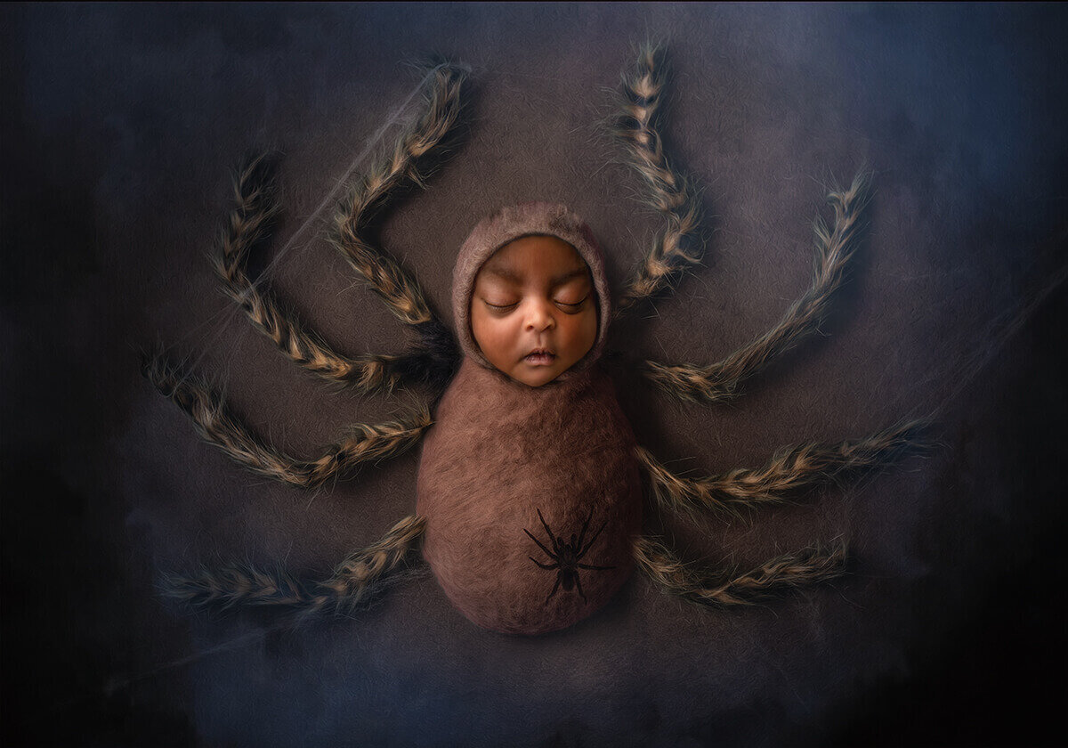 newborn baby dressed in a spider outift