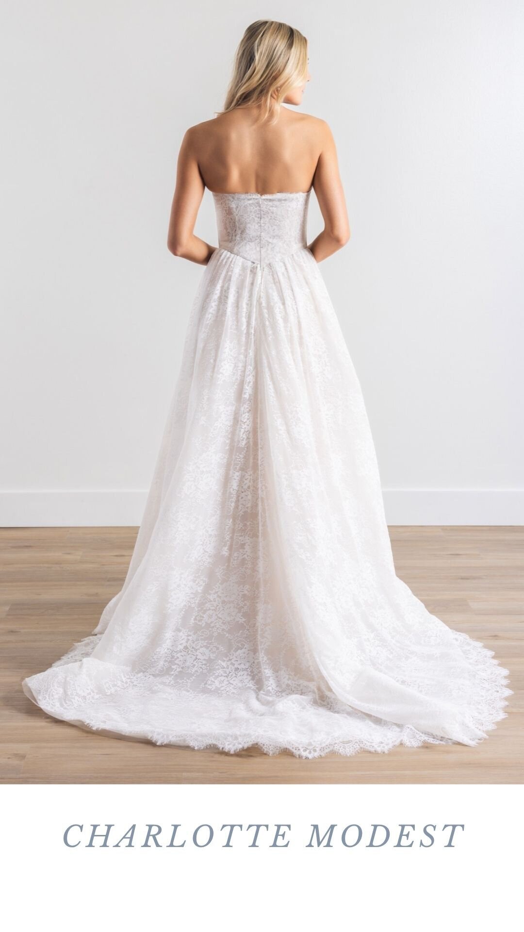 charlotte modest