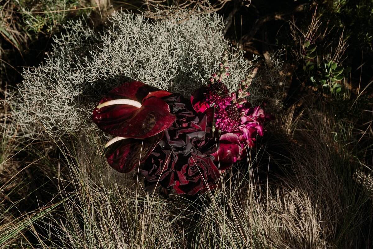 Great-Ocean-Road-Elopement-18