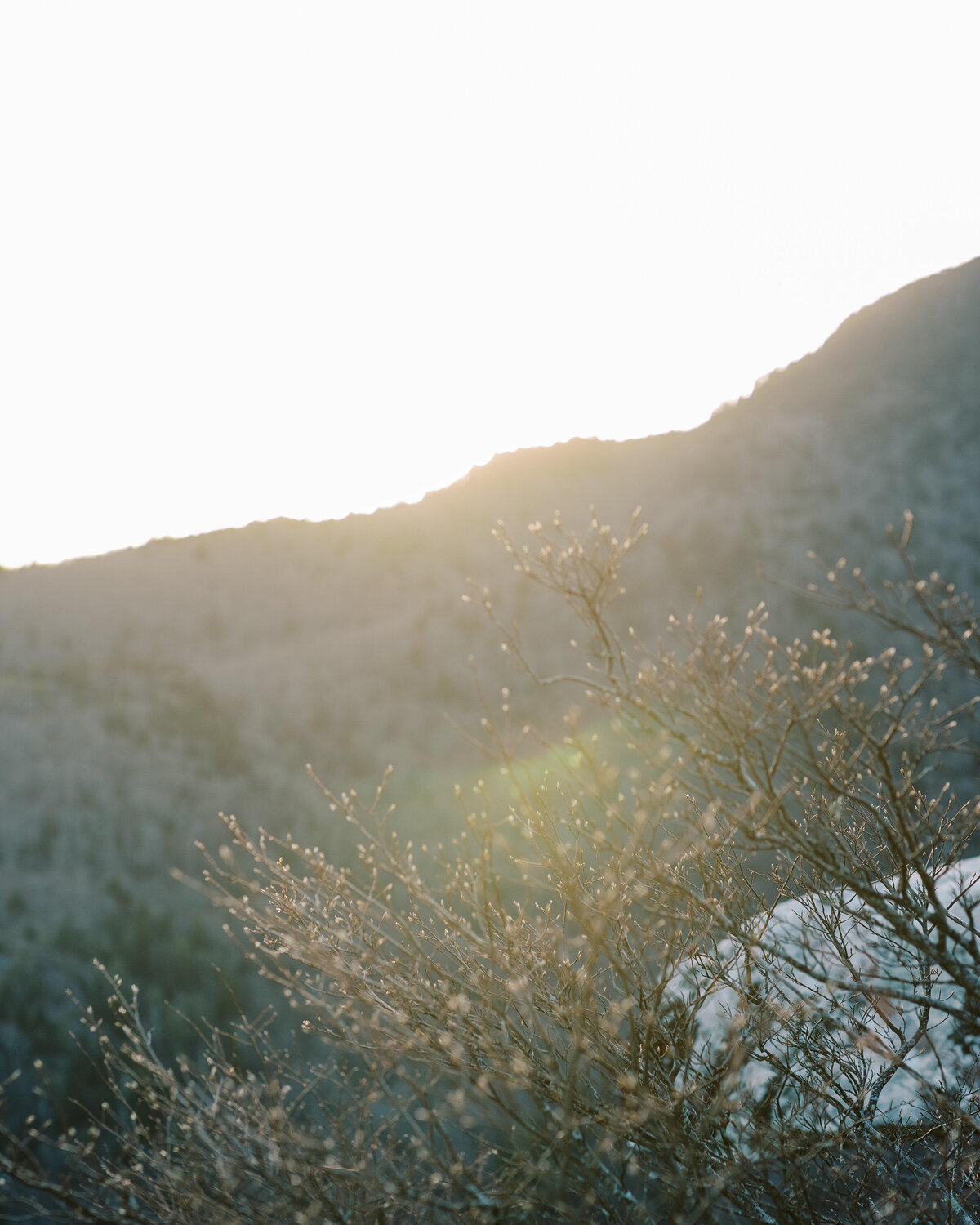The Fourniers | Grandfather Mountain Engagement-135