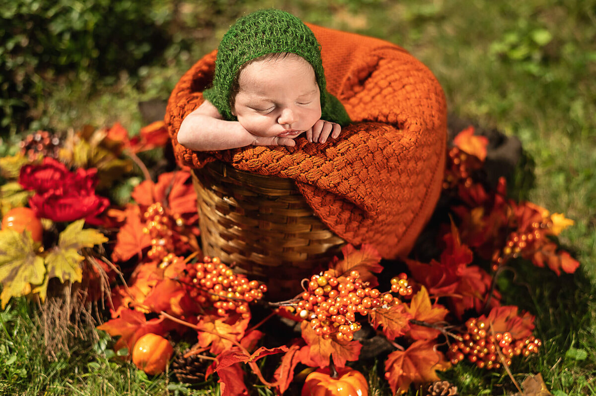Fall themed newborn session by Tamara Danielle Photography,  Toronto Newborn Photographer, in a basket with orange and green colours and leaves at Vineland centre.