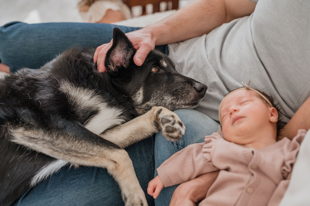 Dog and baby rest on dad's lap.