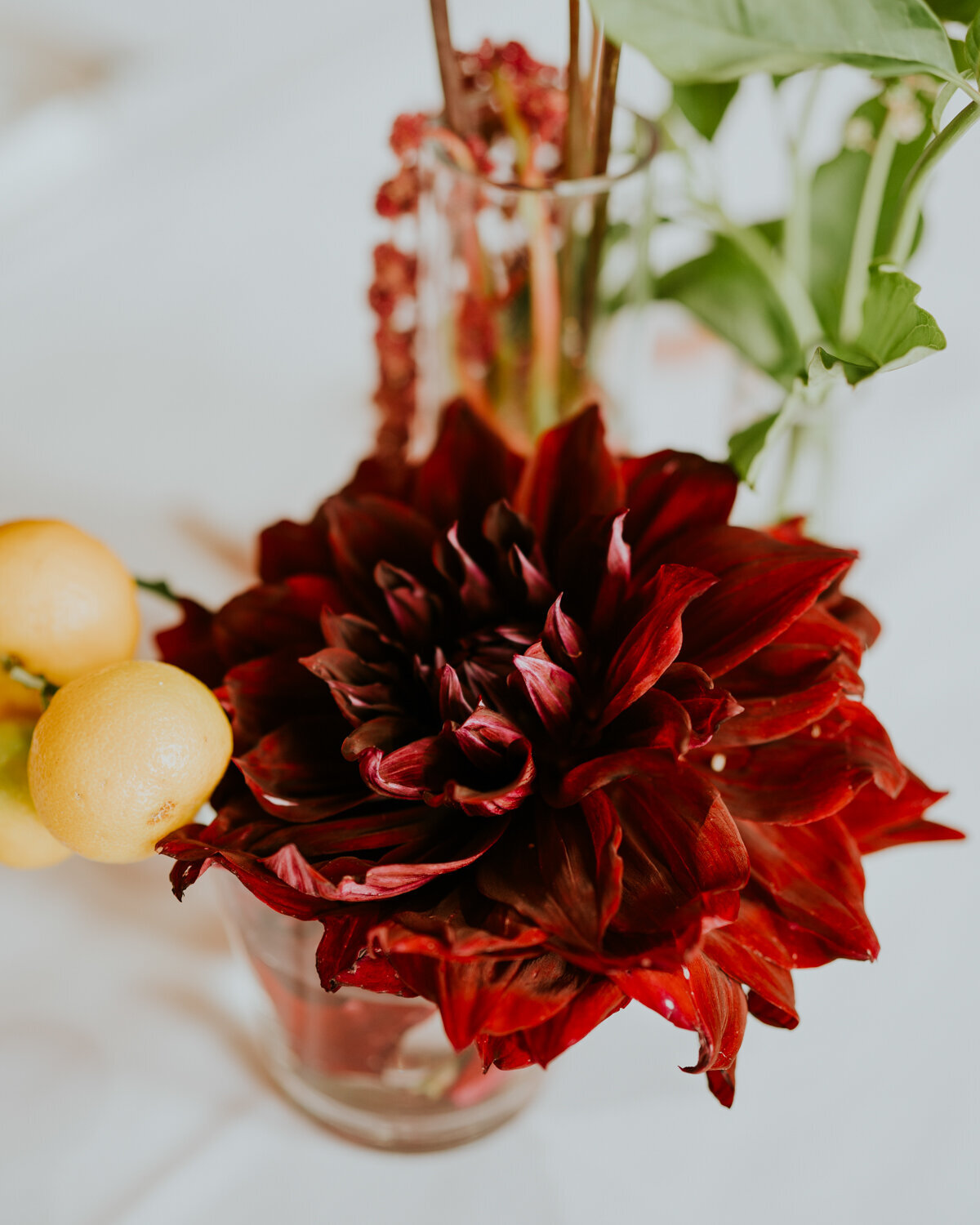 YARRAVILLE WEDDING-24