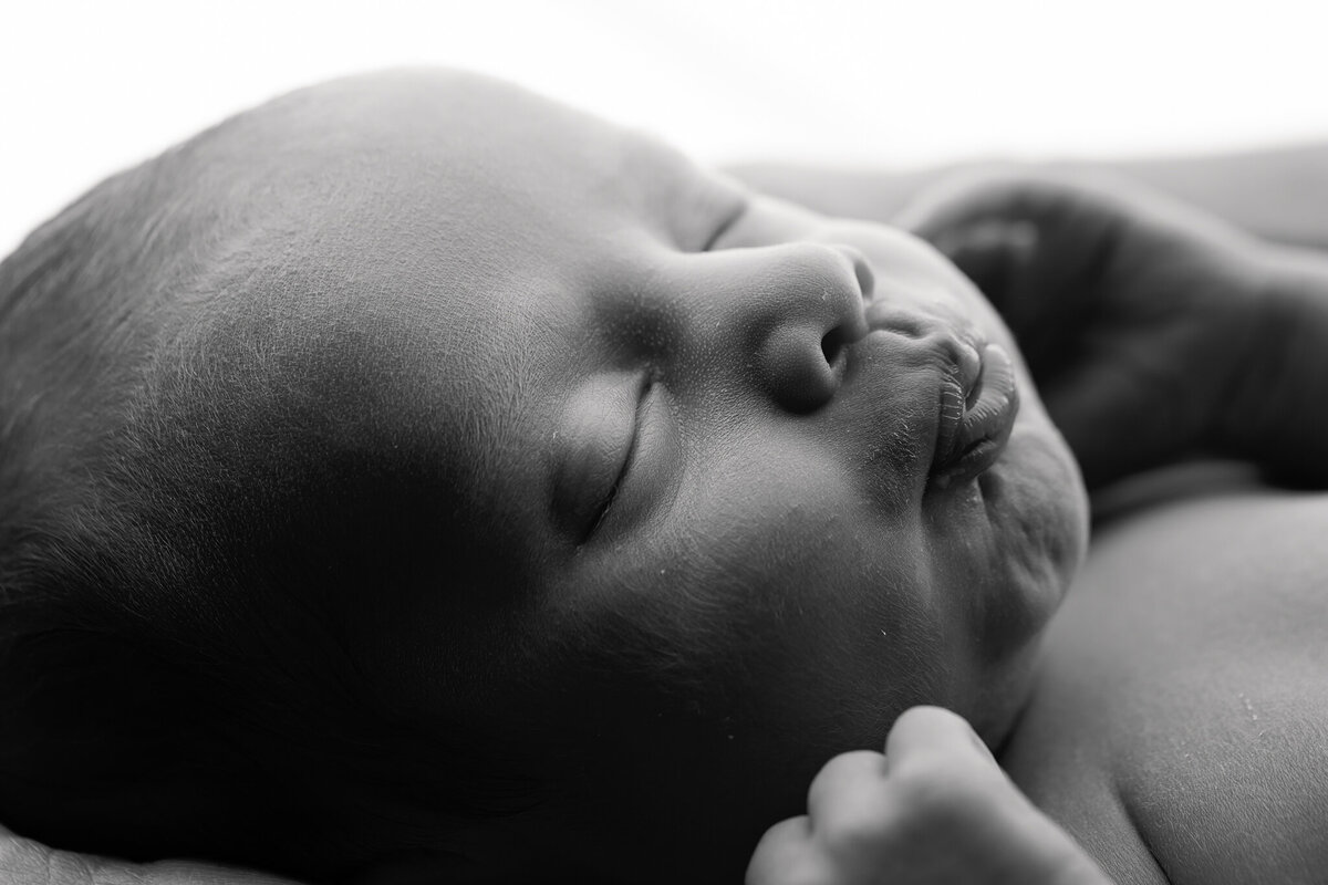 NWA newborn photographer, newborn portraits NW Arkansas