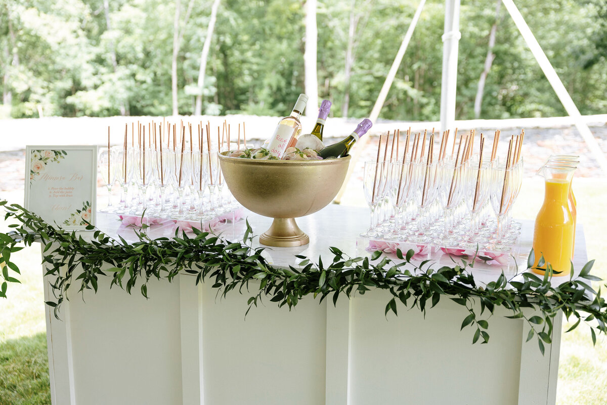 tented-backyard-bridal-shower-in-massachusetts-17