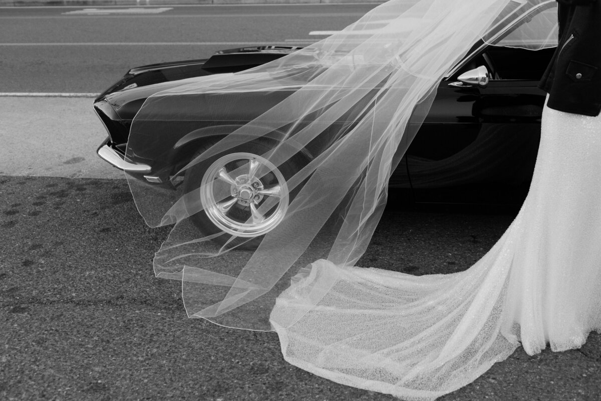 Classic Wedding Photos in Richmond, VA