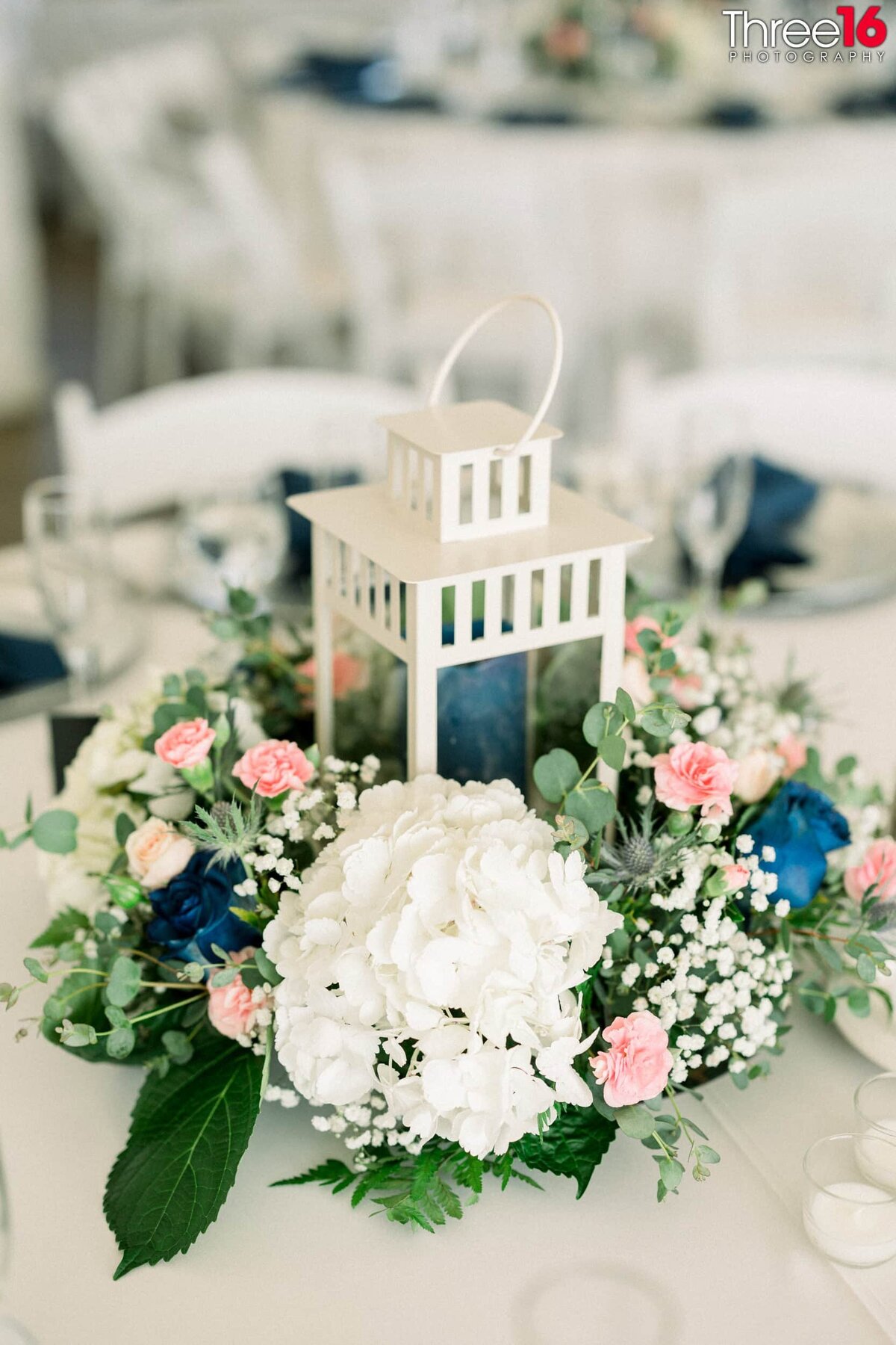 Three16 Photography Orange County-1014