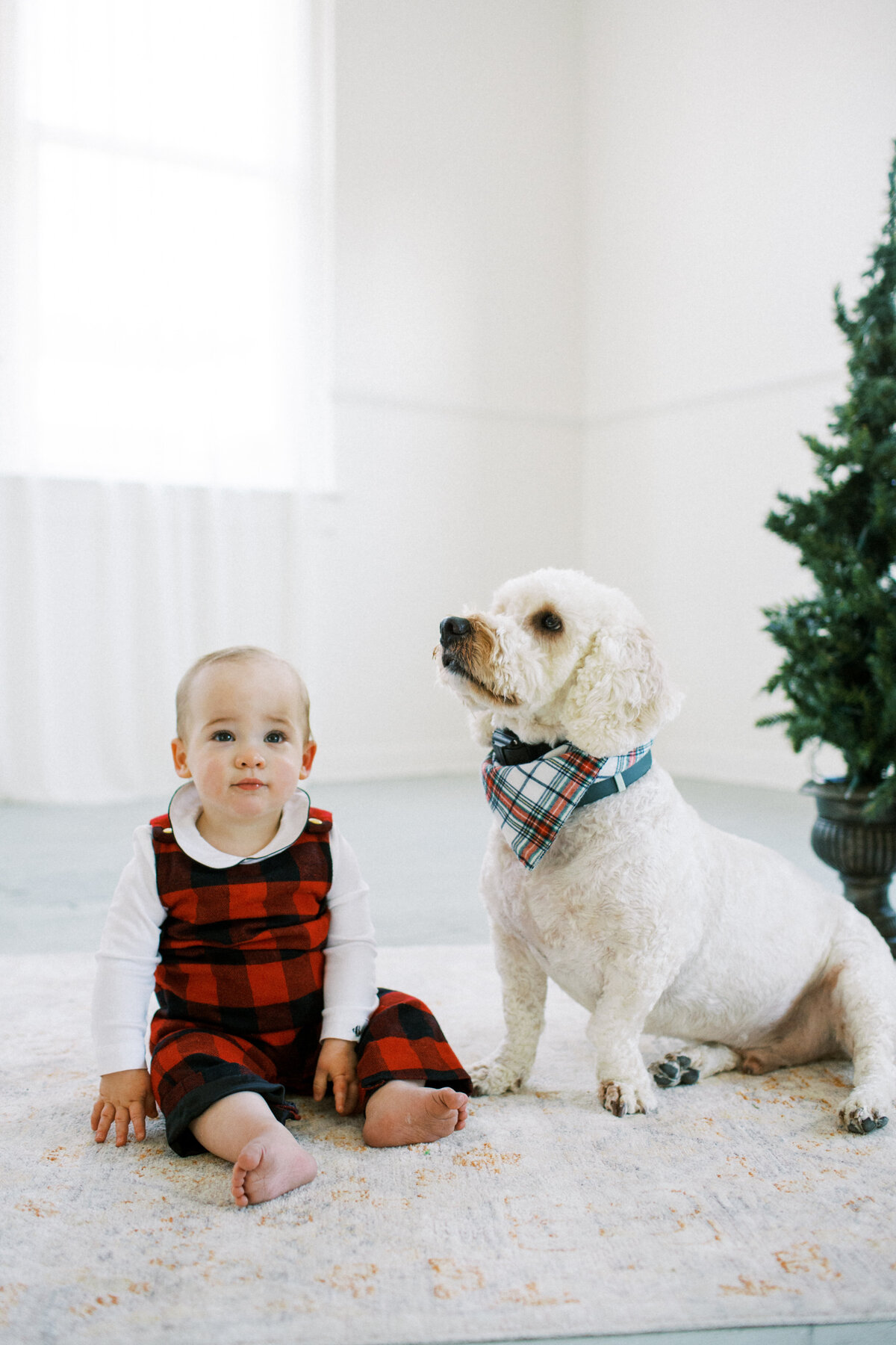 Christmas_Mini_Sessions_2024_Webb_05