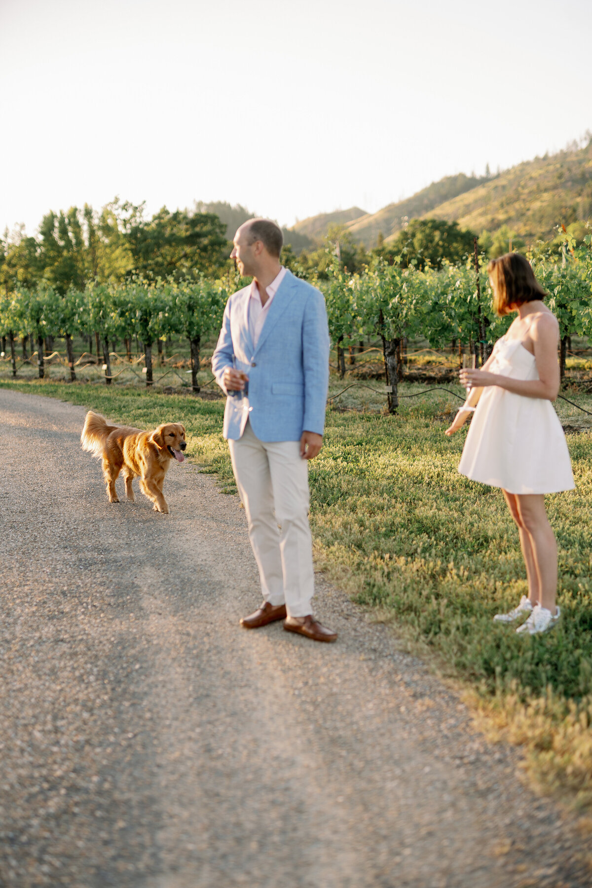 5.11.24_c + k_ st francis winery_rehearsal dinner-87