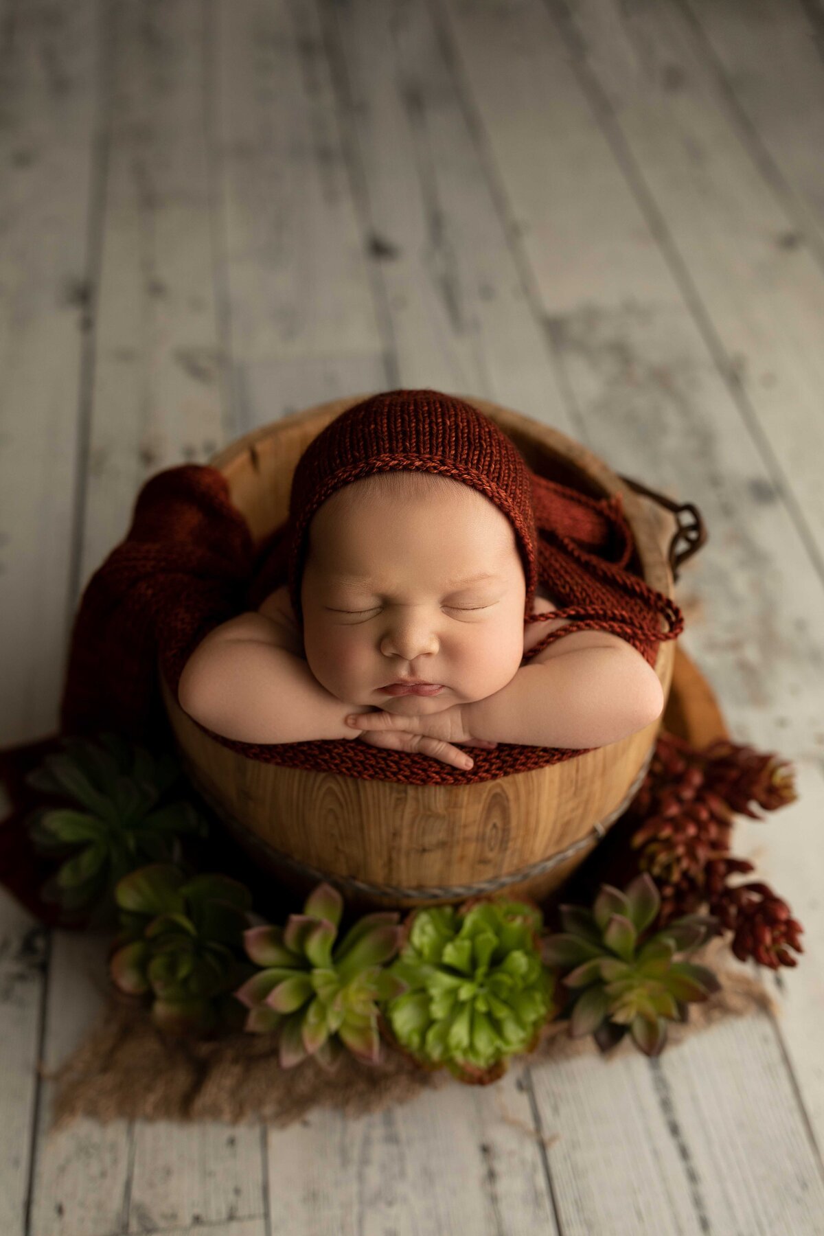 Posed Newborn Photos | London, ON | Ogg Photography