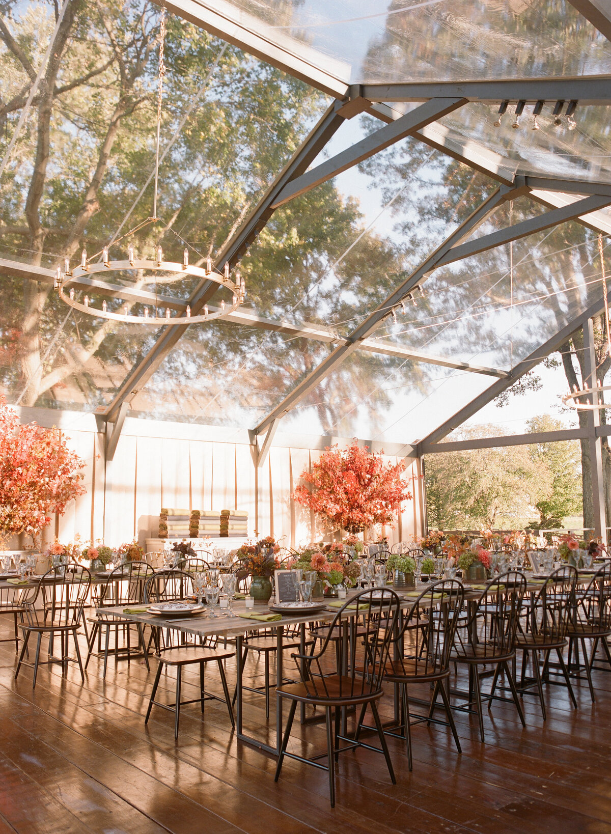 Special-Event-Planner-Virginia-Tented-Birthday-Party0642