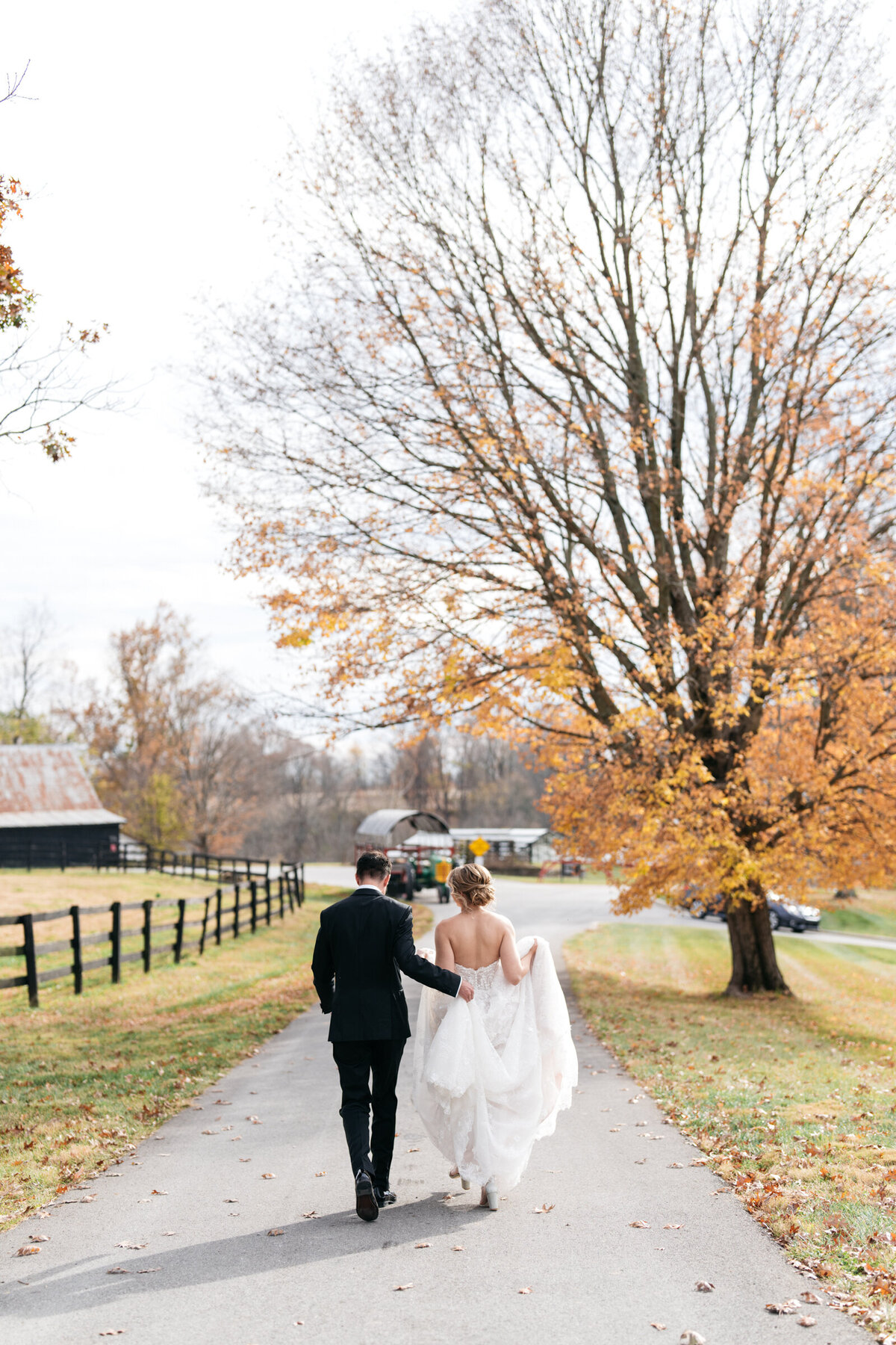 bride and groom walk toward a greenhouse at hermitage farm