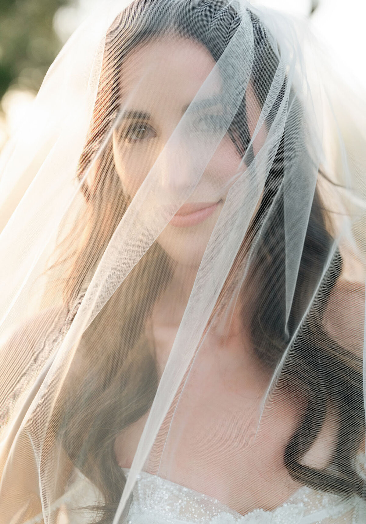 La Mariposa wedding photo in Tucson with trees and evening light