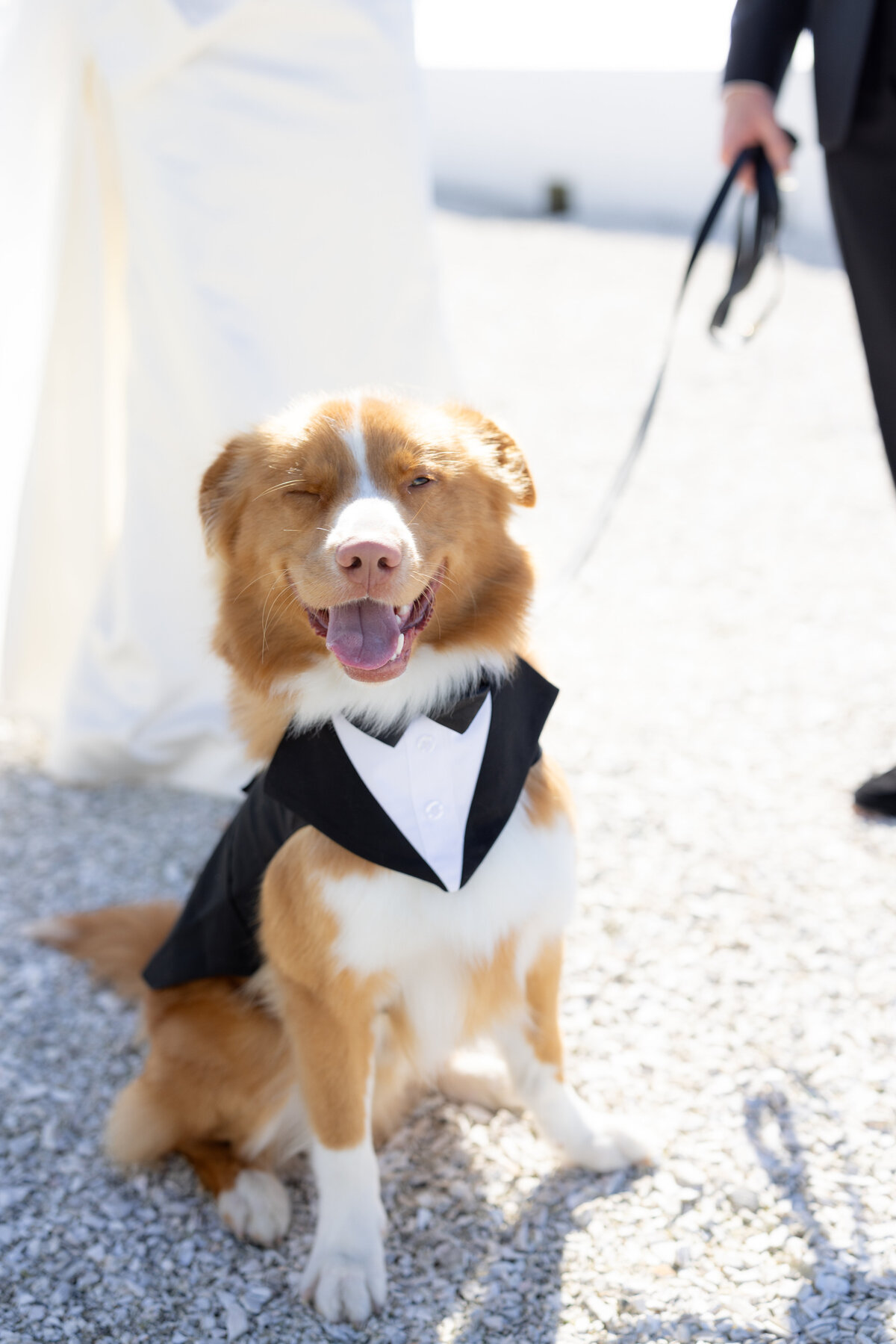Rachel_Girouard_Photography-54
