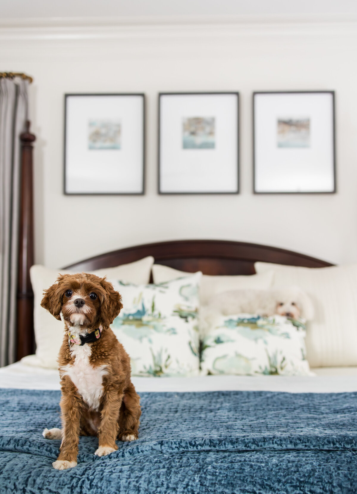 interior photography for lauren murphy design