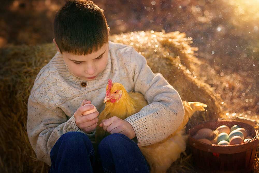 chicken-egg-what-comes-first-boy-fine-art-photography-brighton