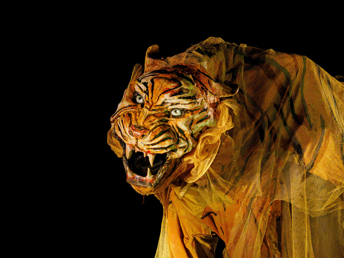 HISTOIRES INVISIBLES Le truculent exode rural des fantômes du Bengale ©Marie Charbonnier-66