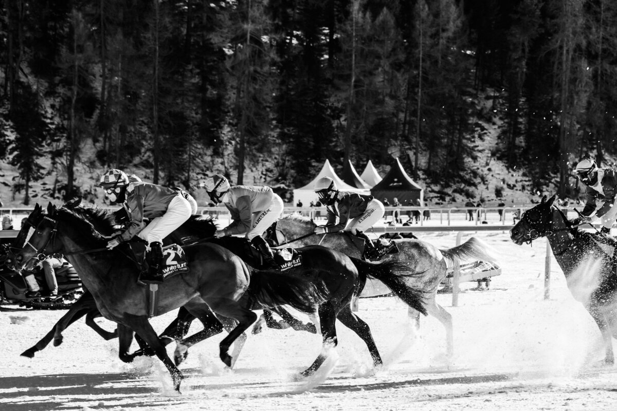 White Turf St. Moritz 27