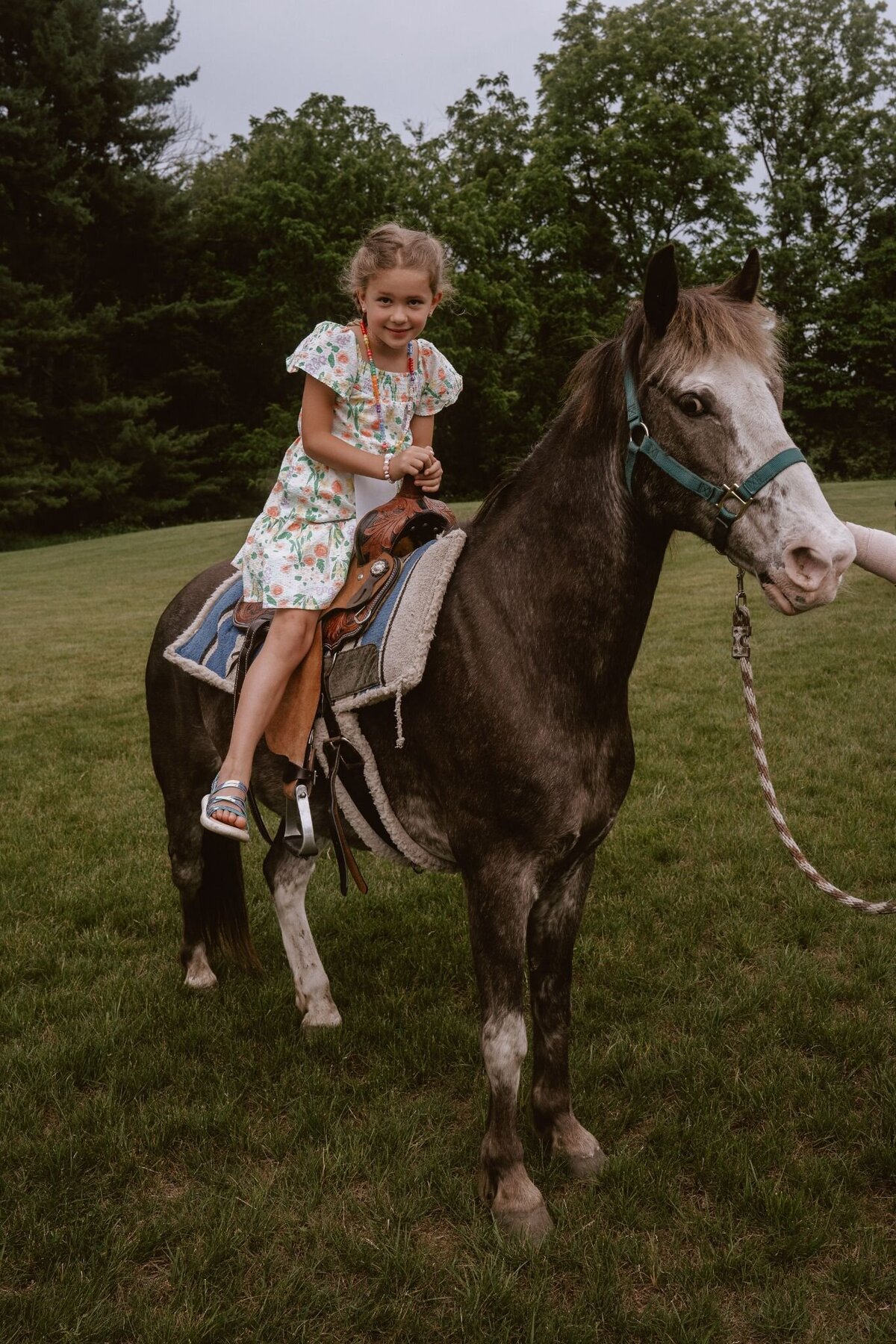 taylor-swift-theme-6th-birthday-215