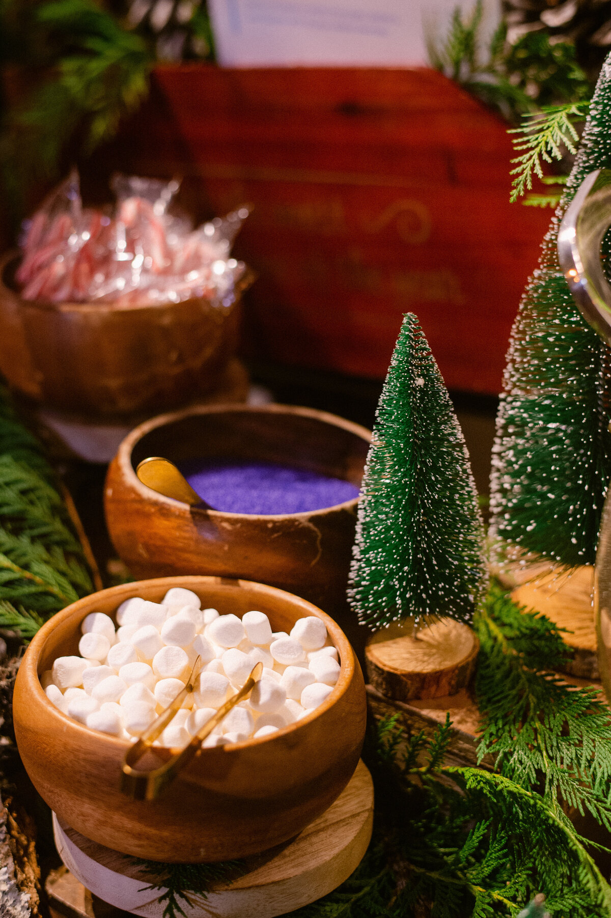 046-JOY_2835-michaela-joy-photography-corporate-holiday