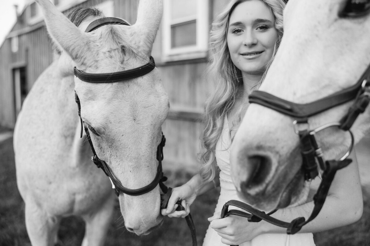 equestrian-photographer-saratoga-ny-181