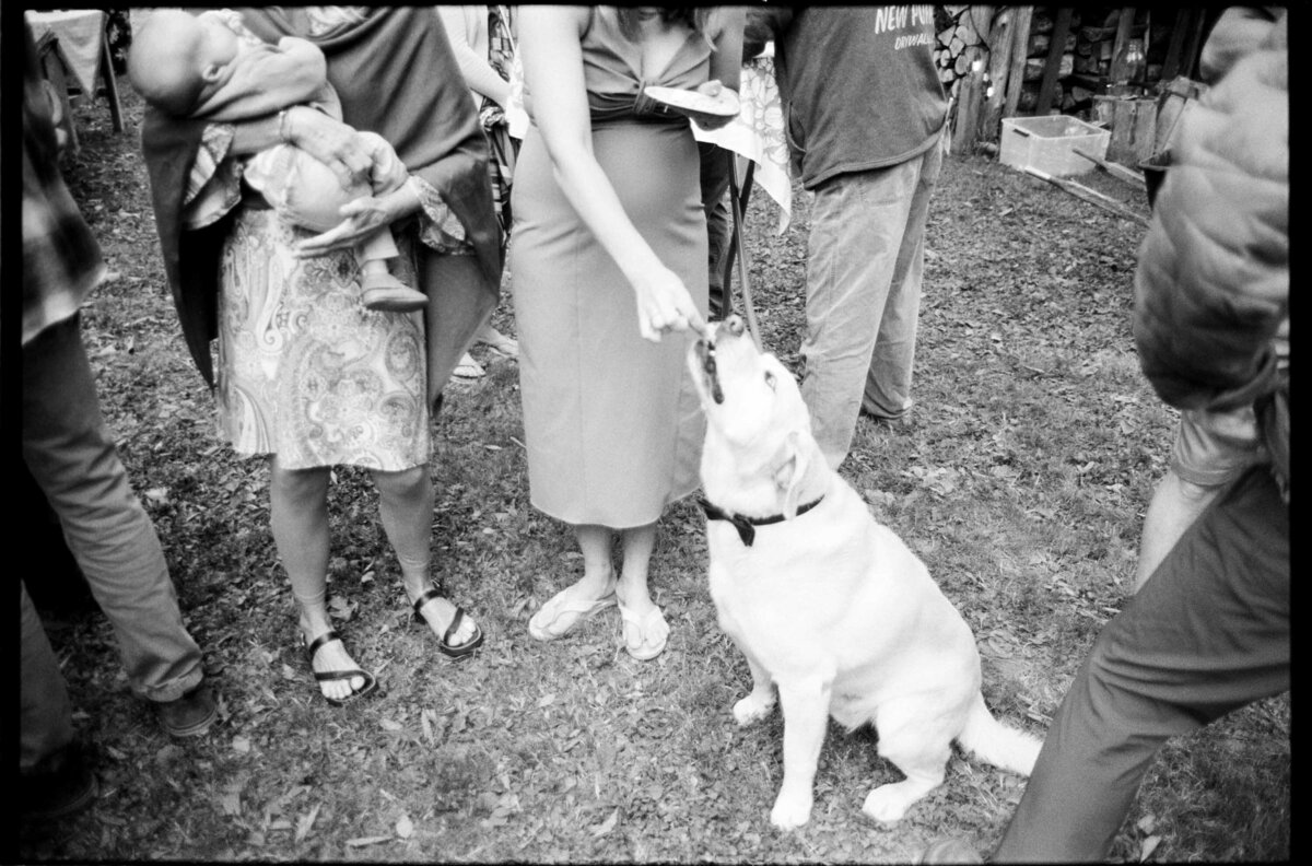 Jess-Buckley-Documentary-Wedding-Photographer-Film-28