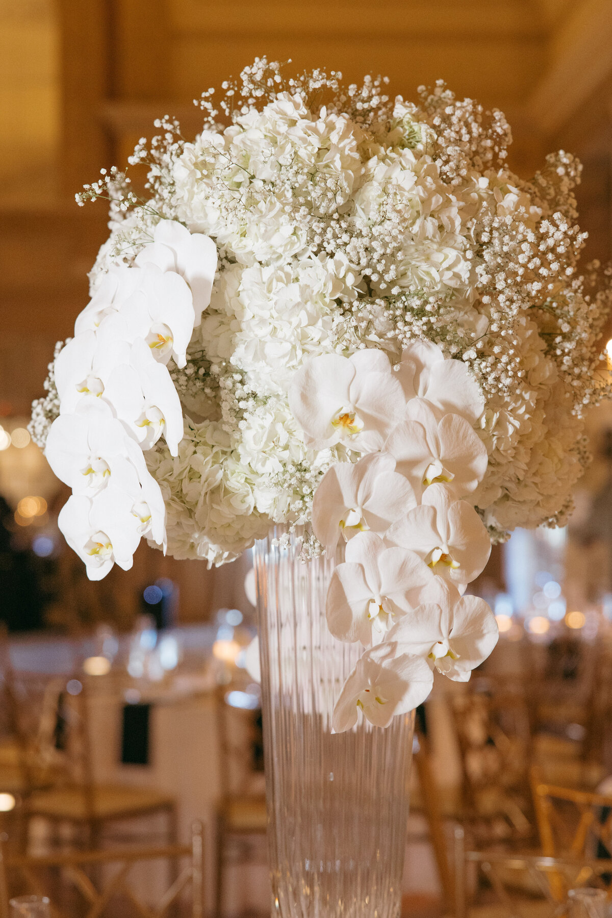 HannahJake-AbbyRosePhotography-594